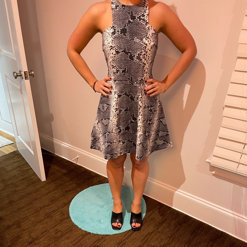 Elizabeth and James snake print fit and flare dress.